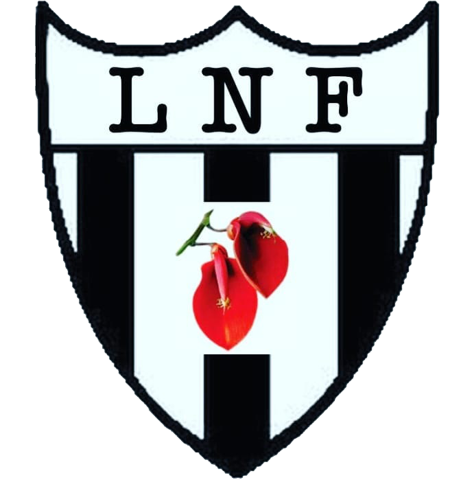 Liceo Nacional Futbol