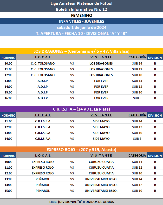 PROGRAMACIÓN NRO 12: PRIMERA A - PRIMERA B ┃ SUB 17