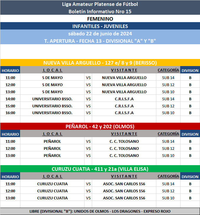 PROGRAMACIÓN NRO 15: PRIMERA A - PRIMERA B ┃ SUB 17