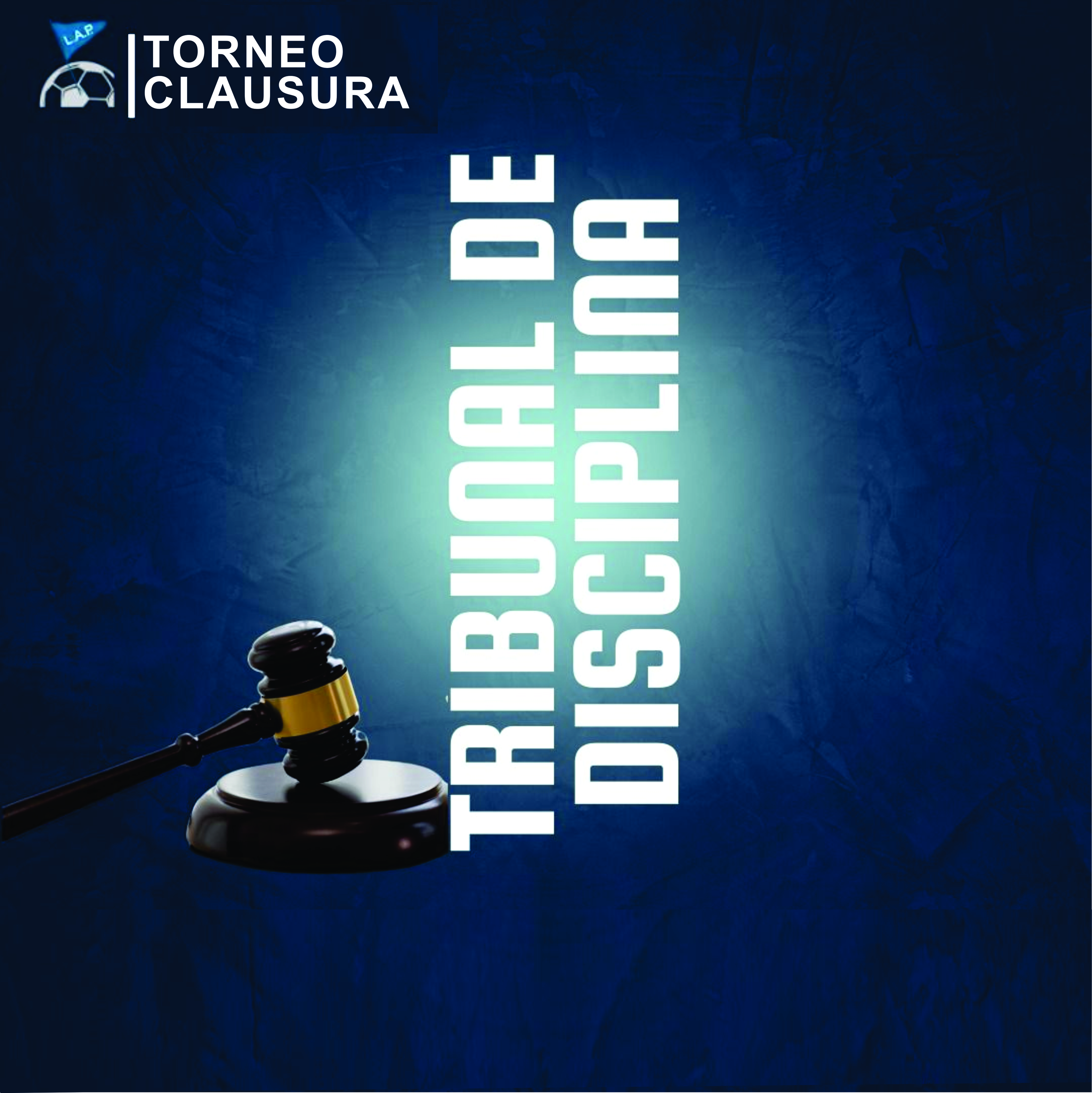 COMUNICADO NRO 88 / 2024