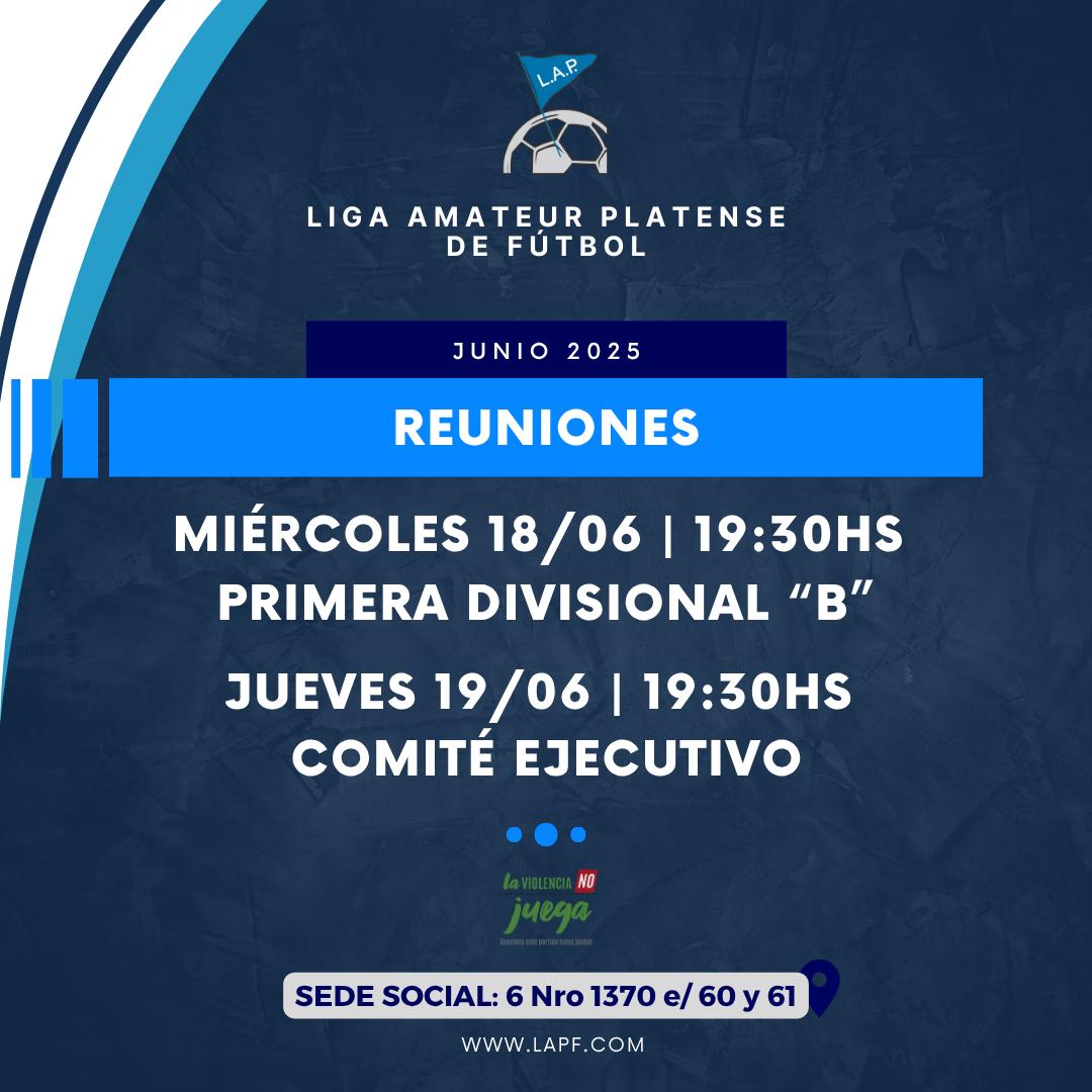 CONVOCATORIA COMITÉ EJECUTIVO – JUNIO 2025